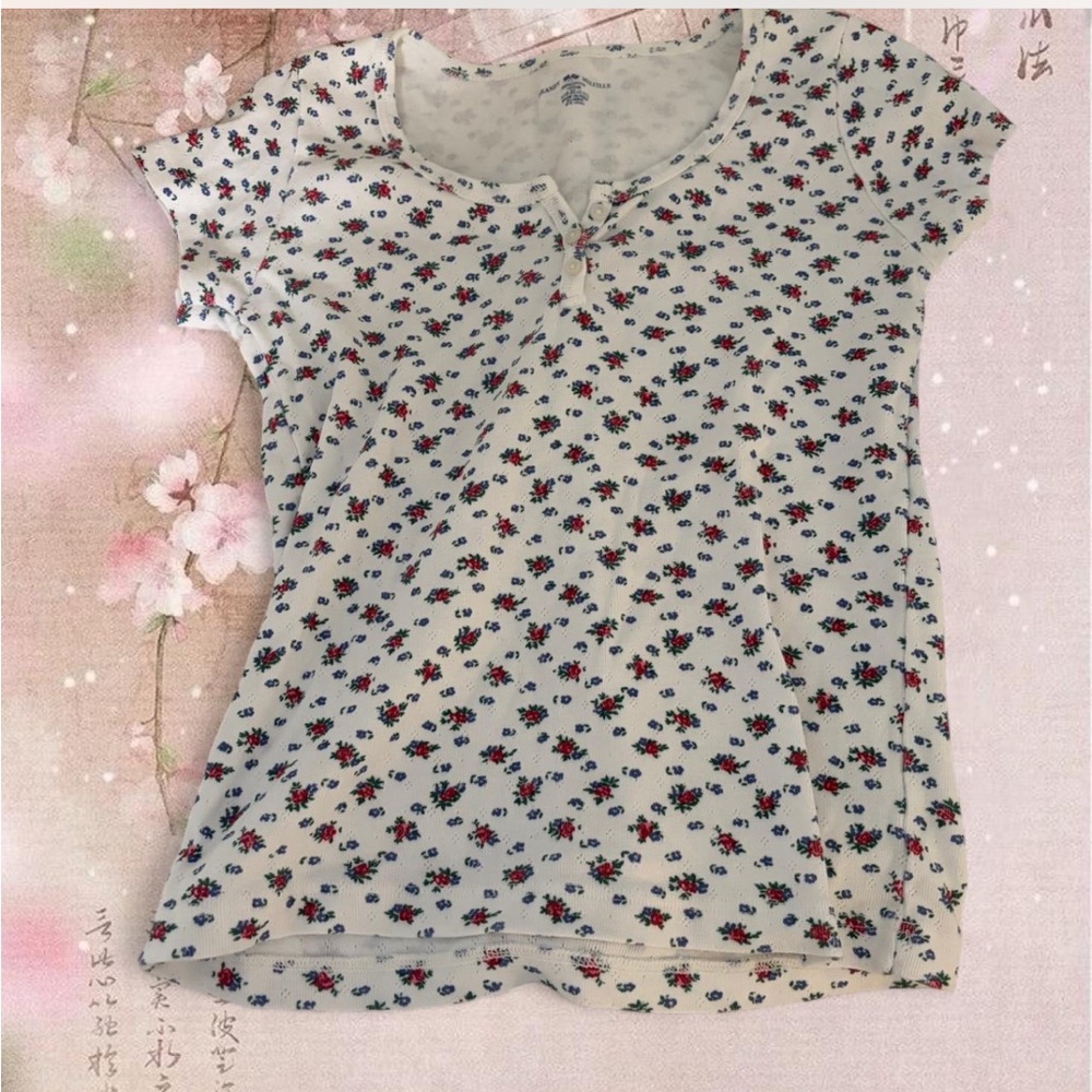Brandy Melville Green/Red/Blue Floral Top